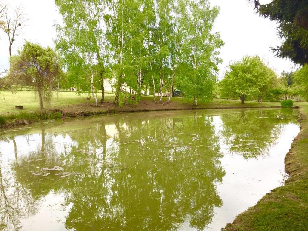 La Maison D'Hera Saint-Yrieix-la-Perche Ngoại thất bức ảnh
